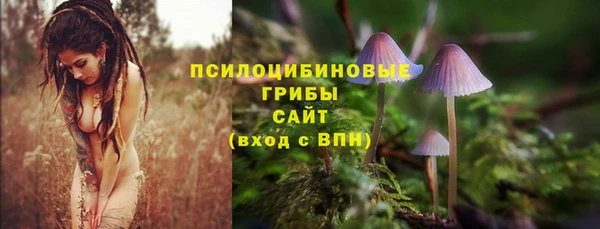 сатива Богданович