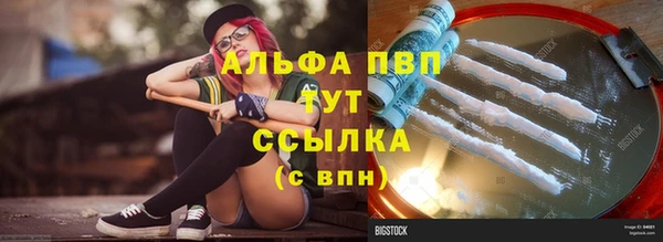 сатива Богданович