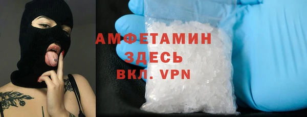 сатива Богданович